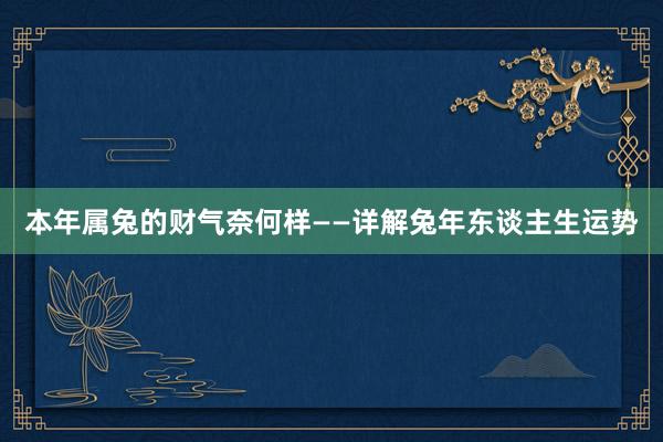 本年属兔的财气奈何样——详解兔年东谈主生运势