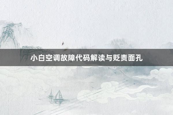小白空调故障代码解读与贬责面孔